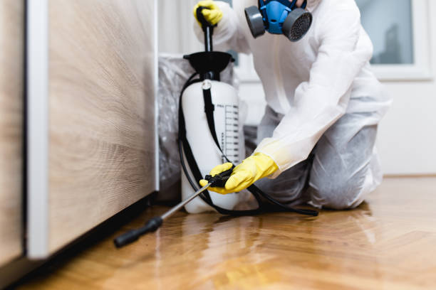 Best Bed Bug Extermination  in Prosper, TX