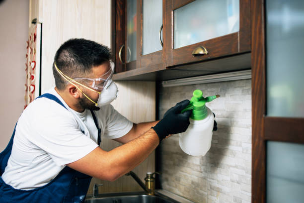 Best Affordable Pest Control Services  in Prosper, TX