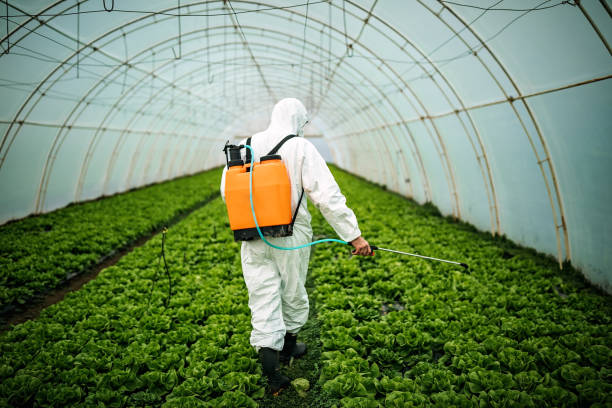 Best Commercial Pest Control Services  in Prosper, TX