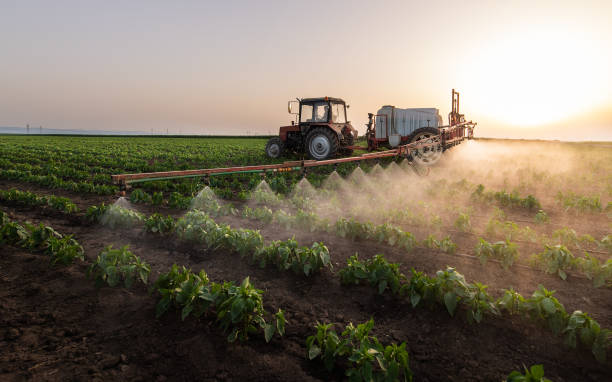 Reliable Prosper, TX Pest Control Solutions