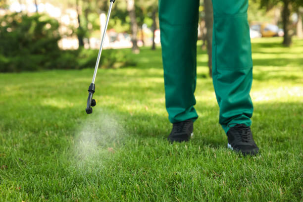 Best Pest Control for Restaurants  in Prosper, TX