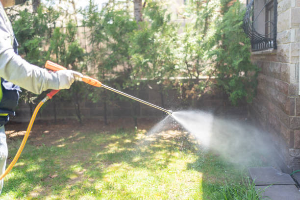Best Wasp Removal Services  in Prosper, TX
