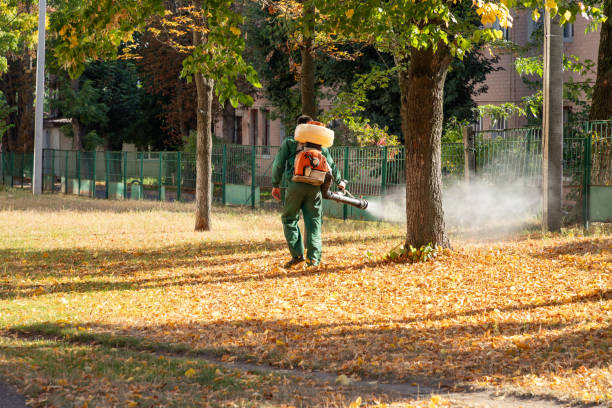 Wasp Removal Services in Prosper, TX