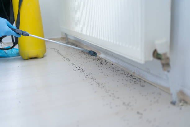 Best Pest Control for Businesses  in Prosper, TX