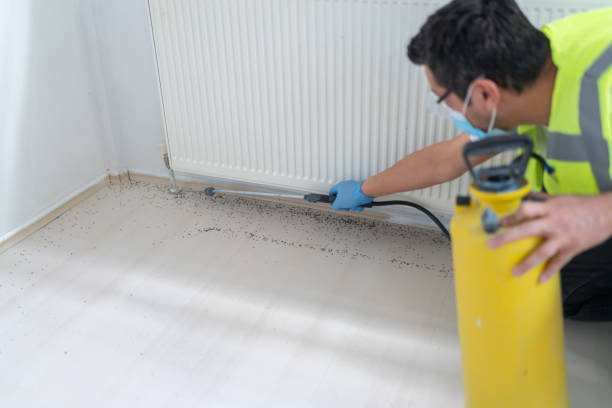 Pest Control for Restaurants in Prosper, TX