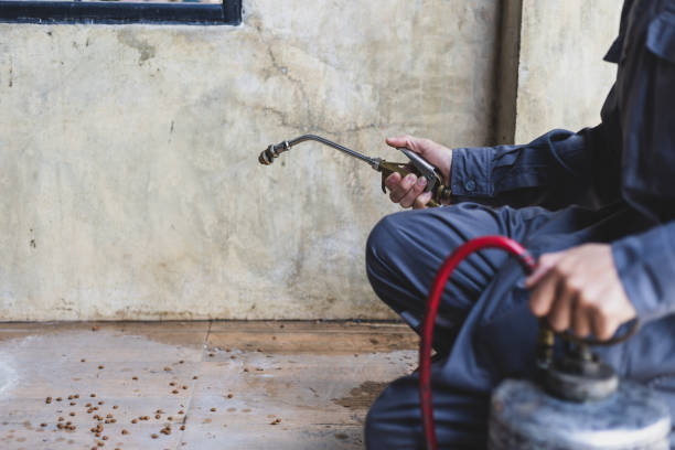 Best Pest Control Near Me  in Prosper, TX